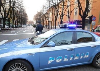 Pitbull morde bimba, ferite lievi