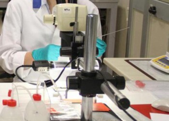 Prodotti di origine animale, il 99,9% è risultato conforme