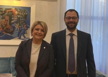 Consulenti del lavoro, incontro con Patuanelli su semplificazioni  