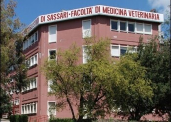 Sassari, riapre la clinica veterinaria