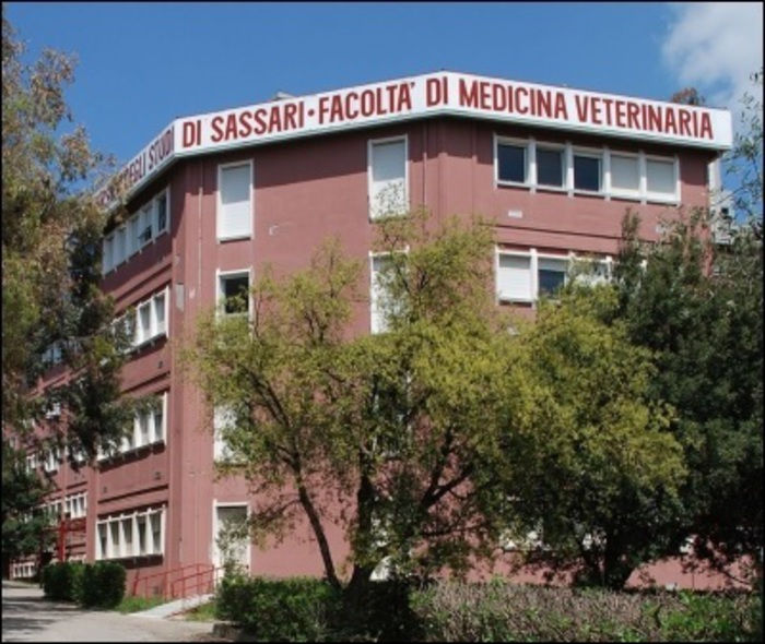 Sassari, riapre la clinica veterinaria
