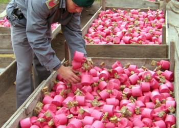 Scoperta fabbrica fuochi pirotecnici