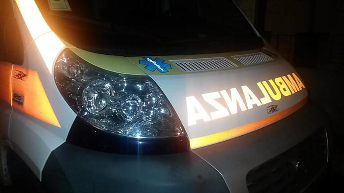 Scrofa uccide uomo e ferisce bimbo