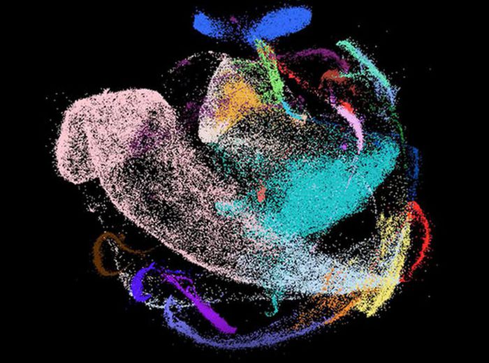 Si prepara il primo ritratto dell’organismo sano