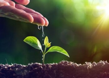 Sostenibilità: Triumph Group International ringrazia Milano piantando alberi 