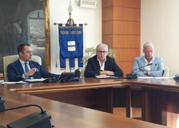 Taglio dei boschi, un nuovo regolamento