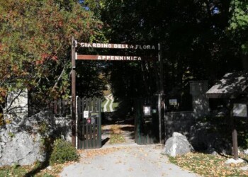 Unimol celebra 55 anni ‘Giardino flora’