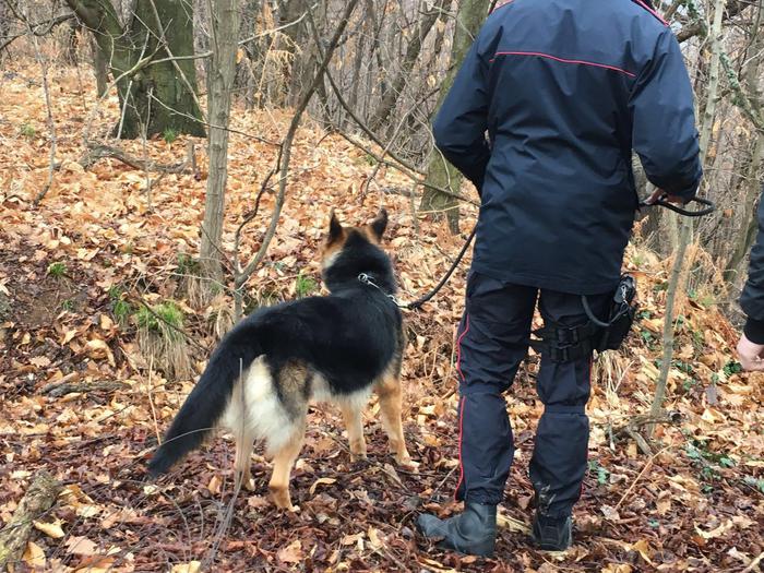 Uomo ucciso a fucilate nel Pinerolese