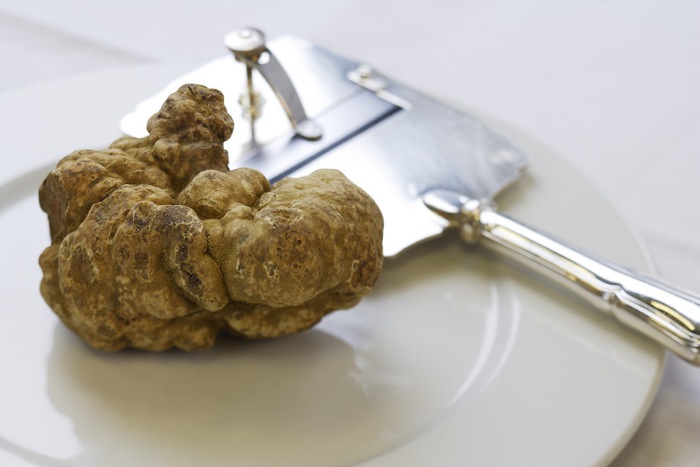 Vola a 300 euro l’etto il prezzo del tartufo bianco