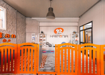 LA GIFT CARD DI HARMONIA PER GLI AMICI 4 ZAMPE