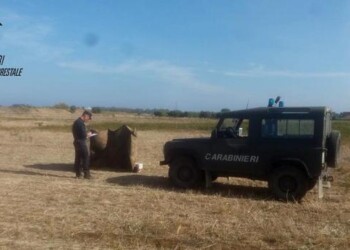 A caccia con richiami vietati, 3 denunce