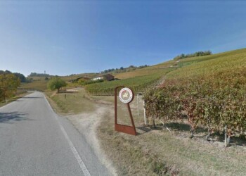 Asti docg firma territorio produzione