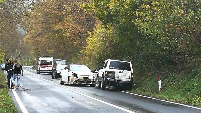 Auto contro cinghiale a Pieve Torina