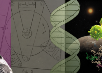 Buon compleanno Nature, da 150 anni voce della scienza