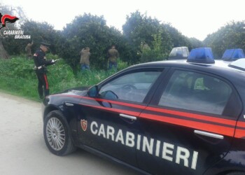 CONTROLLI DEI CARABINIERI DEL NIL: 4 ATTIVITA’ SOSPESE PER LAVORO NERO, 5 DENUNCIATI ALL’AUTORITA’ GIUDIZIARIA, SANZIONI E AMMENDE PER OLTRE 30.000 EURO.
