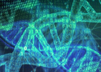 Cinque secoli di infedeltà scritti nel Dna