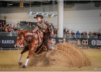 Equitazione: vittoria di Gina Schumacher