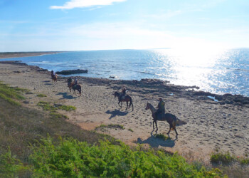 UN TURISMO ETICO E GREEN CON “IL VIAGGIO CHE CAMBIA”PROMOSSO DA FIERACAVALLI