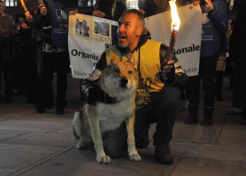 Flash mob su ddl lupo, cento persone sotto Regione