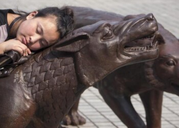 I lupi di Ruowang a Napoli, è la natura che si ribella all’uomo