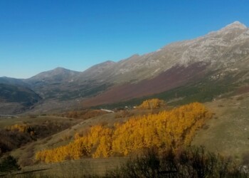 Il Giardino Alpino di Campo Imperatore