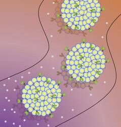 Le prime cellule sintetiche a guida autonoma