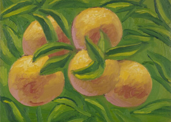 Le realtà ordinarie