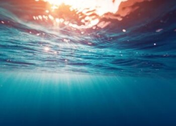 Mare: su spiagge europee 11mila t di rifiuti ogni anno da pesca e acquacoltura 