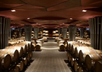 Microbiota e cibo, premiati due progetti