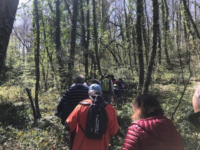 Nasce Riserva naturale ‘Bosco Casale’