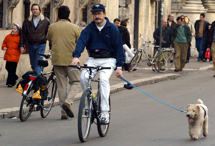 Nastro giallo per cani problematici