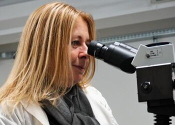 Ricerca: studio, diamanti rivelano nuovi indizi su origine vita  