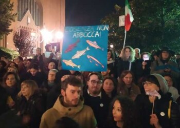 Sardine, in centinaia in piazza Cosenza