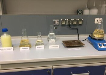 Sostenibilità: Enea, a Ecomondo il packaging green da scarti caseari  