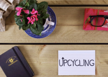 Sostenibilità: ‘upcycling’ Parola dell’Anno 2019 per il Cambridge Dictionary  