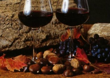 Stappato vino novello, 18 mila bottiglie