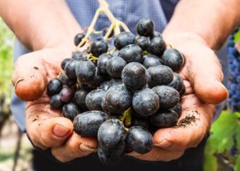 Storie di riscatto dal carcere di Alba  