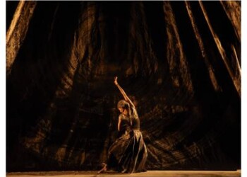 Teatro: Bory-Shivalingappa in scena al Parco della Musica per Romaeuropa  