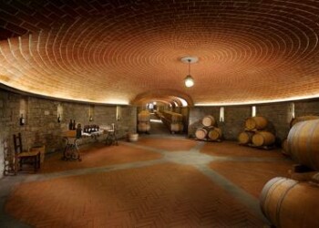 Vino: Ferragamo, ‘terroir e sostenibilità per valorizzare territorio’  