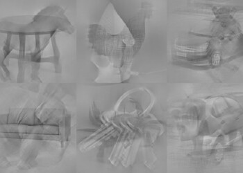 Vivere in città cambia la percezione del mondo , lo dice un test