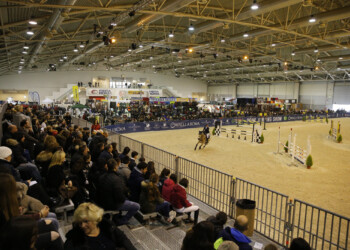 FIERE, ROMA E VERONA UNITE PER LA PROMOZIONE DEL COMPARTO EQUESTRE