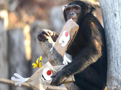 'Scarta la carta', ancora regali per gli animali del Parco Natura Viva