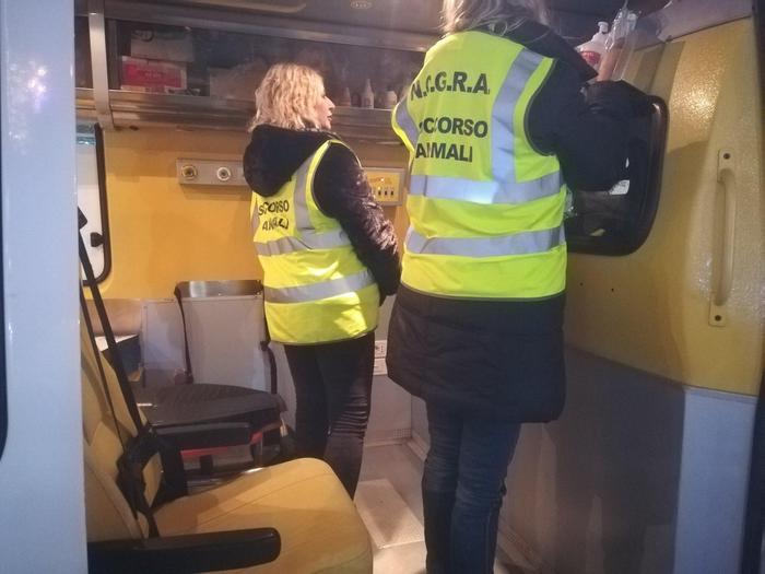 Botti: a Pisa ambulanza con i veterinari