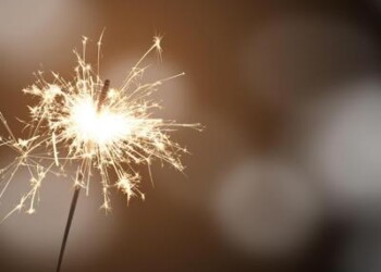 Capodanno: botti e animali, ecco cosa fare 