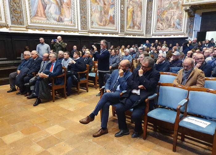 Ceriscioli, Consulta ci ha risposto