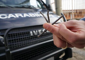 Chiodi in strada, denunciato gommista