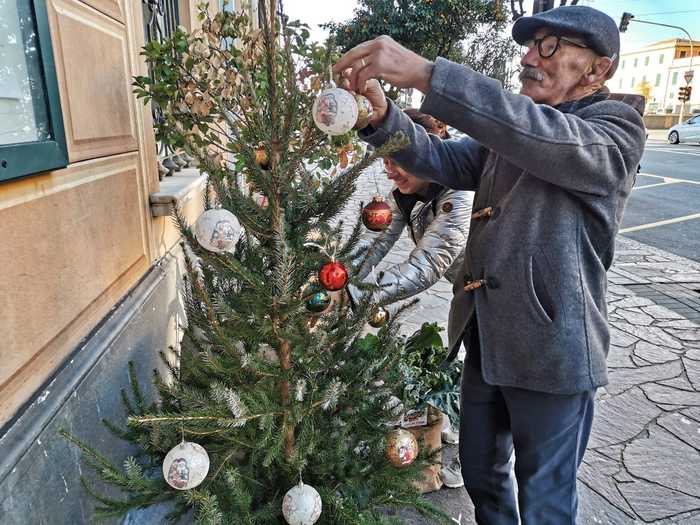 Comune non ha soldi per alberi, ci pensa
