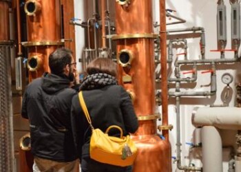 Grappa: Scarabello, ‘grazie a qualità Trentino tiene sul mercato’  