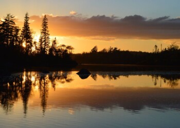Halifax, Canada, da un record di caldo alla neve in 12 ore