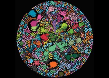 I Big Data aiutano ad esplorare la parte oscura del Dna